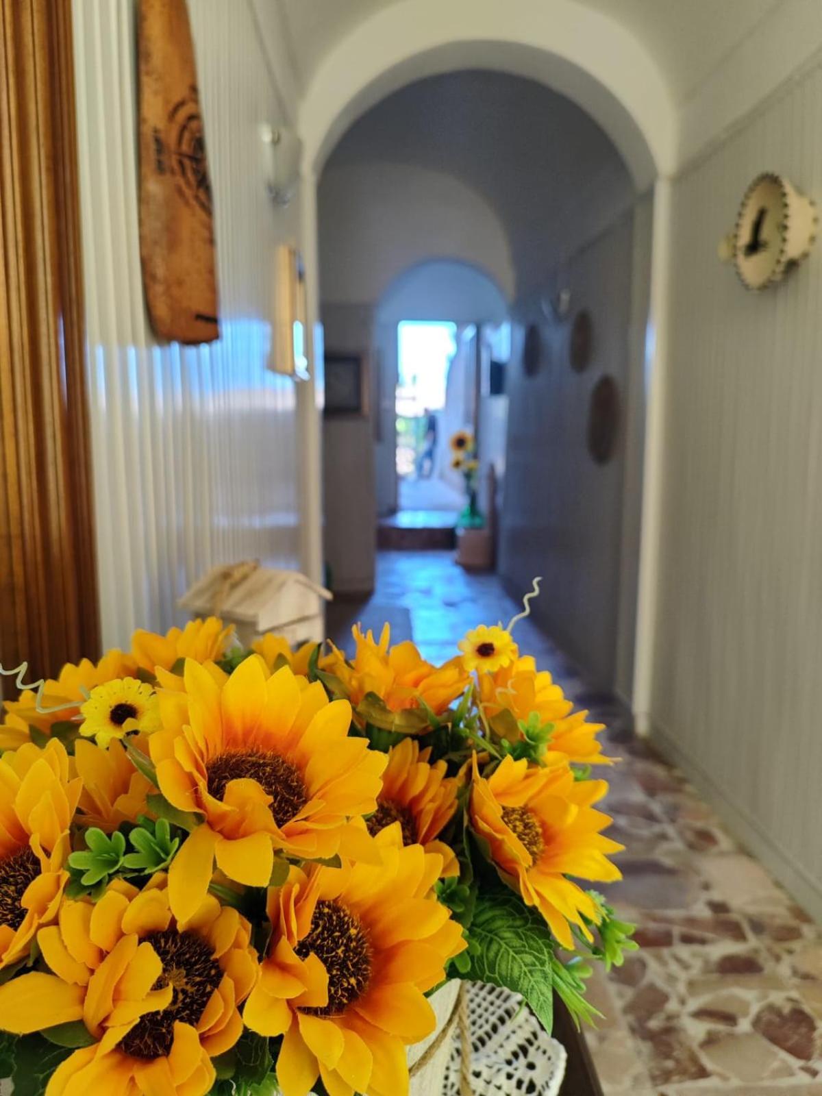 Casa Vacanze Con Giardino I Girasoli - Cin It 09006 - 9 C 2000 R4042- Sorso Exterior photo