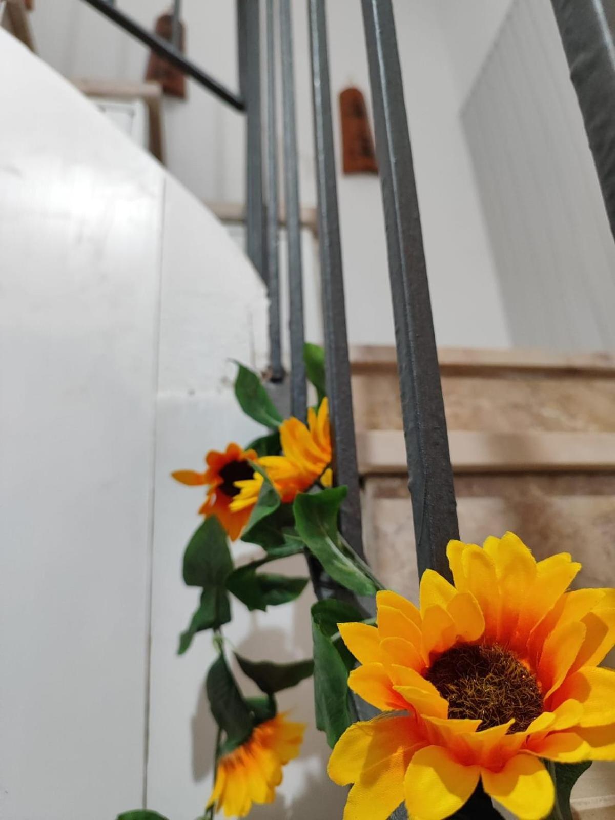 Casa Vacanze Con Giardino I Girasoli - Cin It 09006 - 9 C 2000 R4042- Sorso Exterior photo
